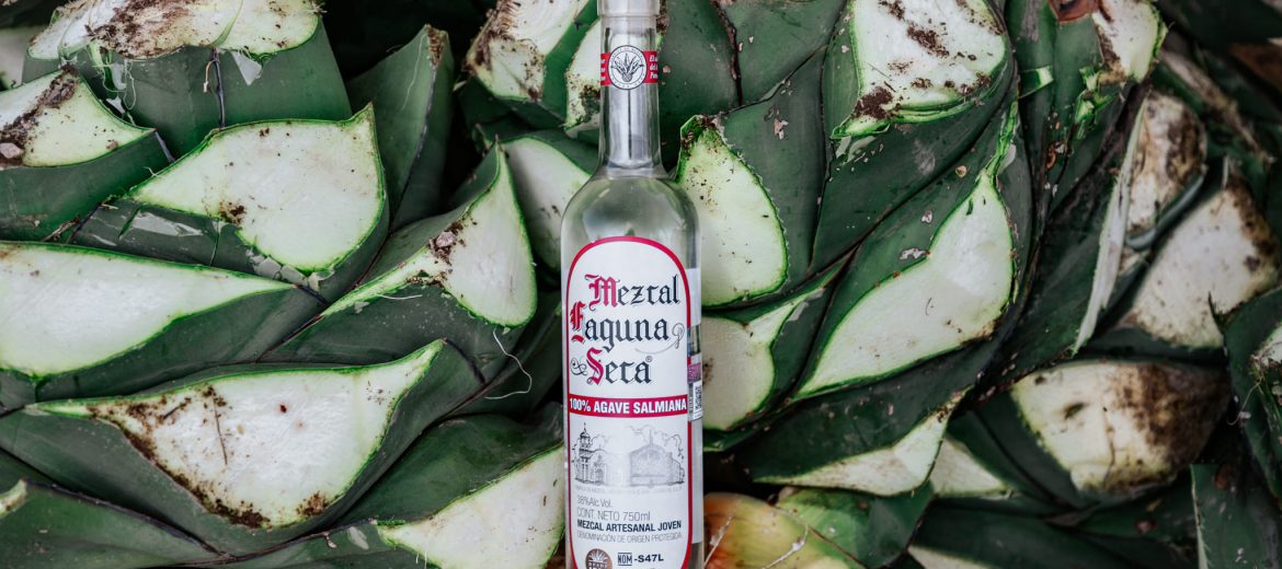 7 BENEFICIOS DE CONSUMIR MEZCAL QUE NO CONOCIAS